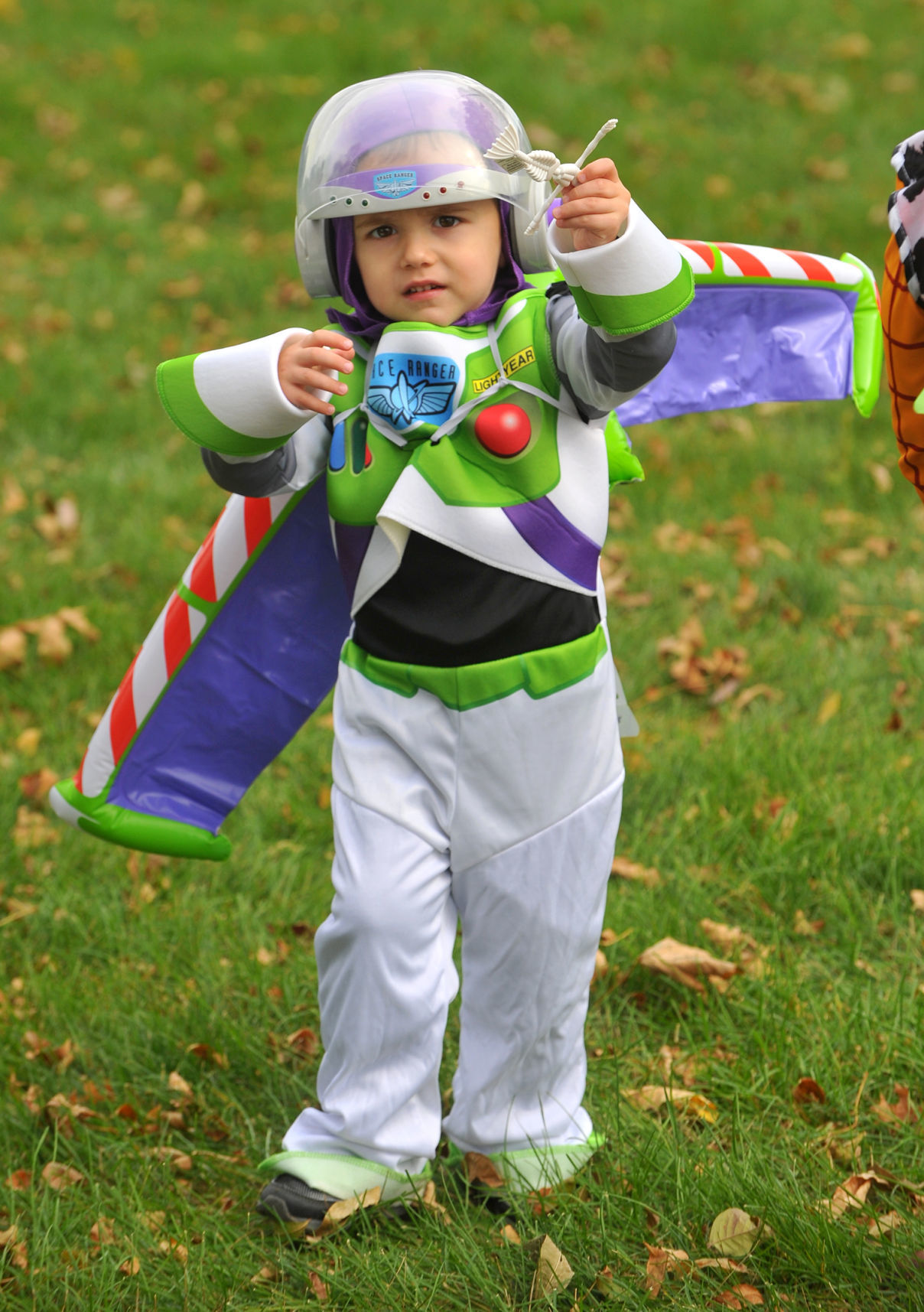 Blue Grass' Pumpkin Dash